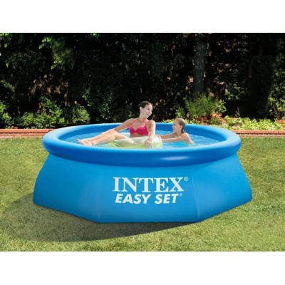   Intex Easy Set 28110