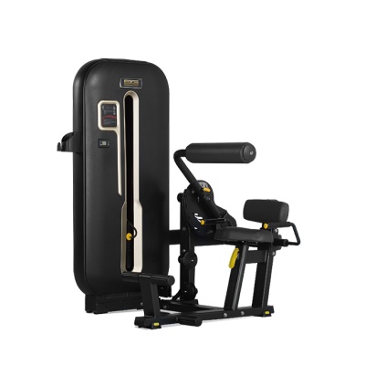   Bronze Gym S7-009