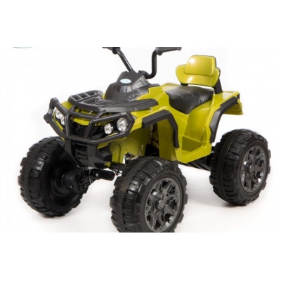  Barty Grizzly 001 