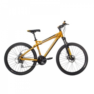   - FORWARD QUADRO 818 "19