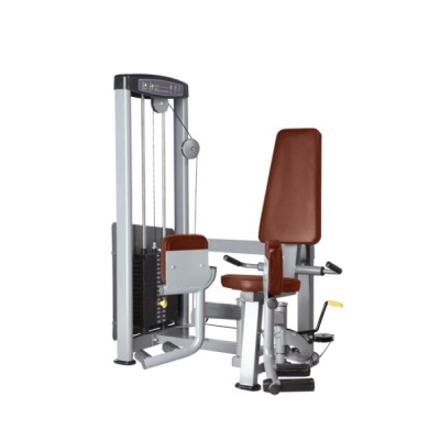   BRONZE GYM D-018