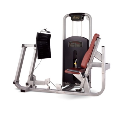   BRONZE GYM MV-015