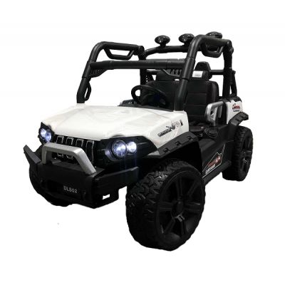  Farfello DLS02  