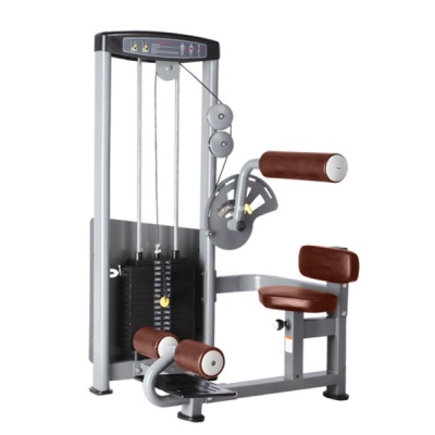   BRONZE GYM D-010