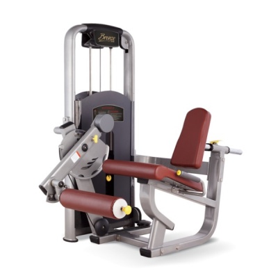   BRONZE GYM MV-014