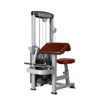   BRONZE GYM D-006