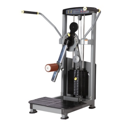   BRONZE GYM D-016