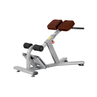  BRONZE GYM J-026