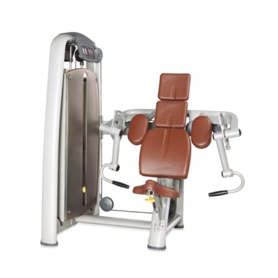    BRONZE GYM A9-006
