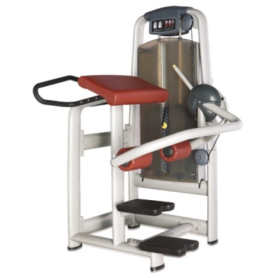  BRONZE GYM A9-016A