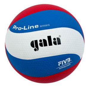 Волейбольный мяч Gala Pro-Line 10 FIVB р.5