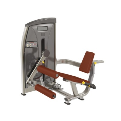     BRONZE GYM E-013