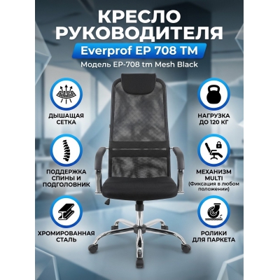 ������ ��� ��������� Everprof EP 708 TM