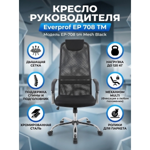 ������ ��� ��������� Everprof EP 708 TM