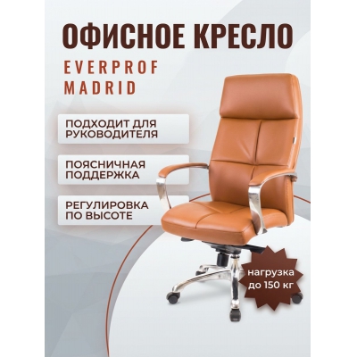 ������ ��� ������������ Everprof Madrid �������