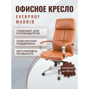 ������ ��� ������������ Everprof Madrid �������