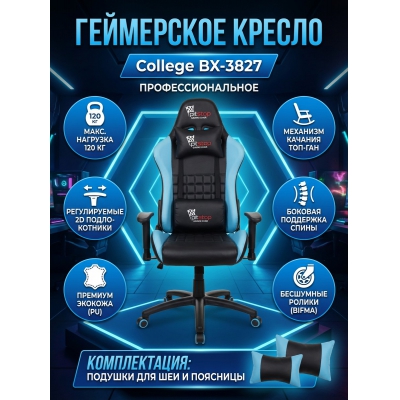 ������ ��� ������� College BX-3827