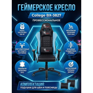 ������ ��� ������� College BX-3827