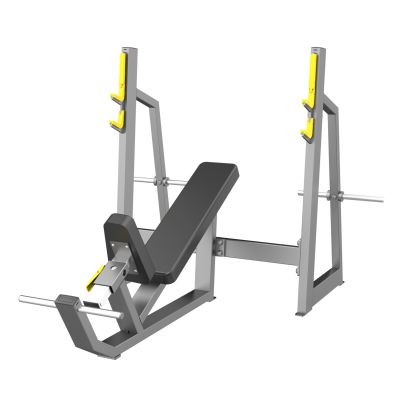      DHZ Olympic Bench Incline