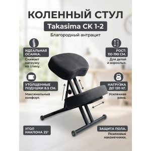 �������� ���� Takasima �� 1-2 (������ ����)