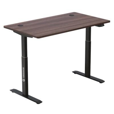   Yamaguchi Standing Desk 