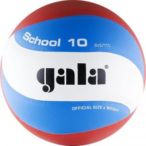 Волейбольный мяч Gala School 10 р.5