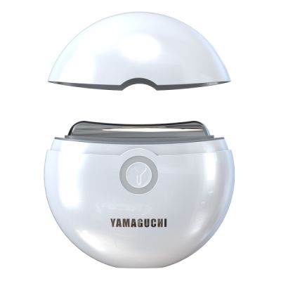  Yamaguchi EMS Face Lifting