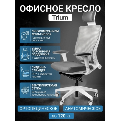 ������ ��� ��������� Falto Trium � ����� ��������