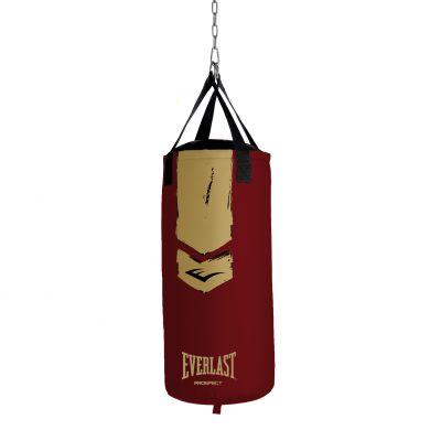    Everlast Prospect 2