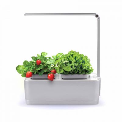    iGarden LED (IGL2021)