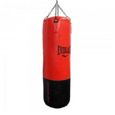    Everlast Powerlock Pro   