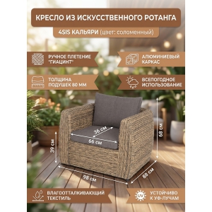 ������� ������ 4SIS ��������