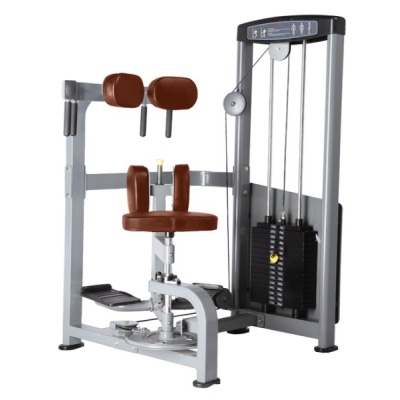   BRONZE GYM D-011