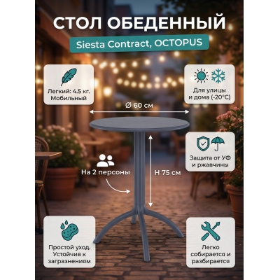 ���� ��� ���� Siesta Contract Octopus