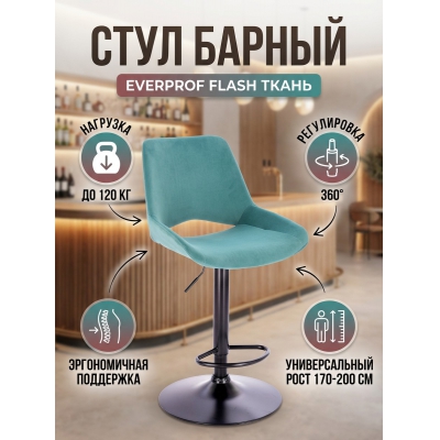������� Everprof Flash �����
