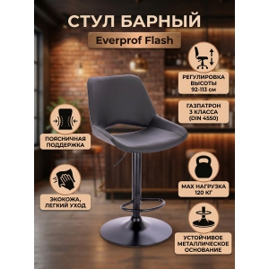 ������� Everprof Flash �������