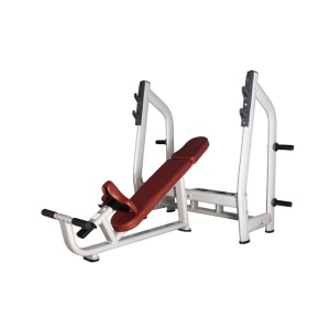      BRONZE GYM H-025