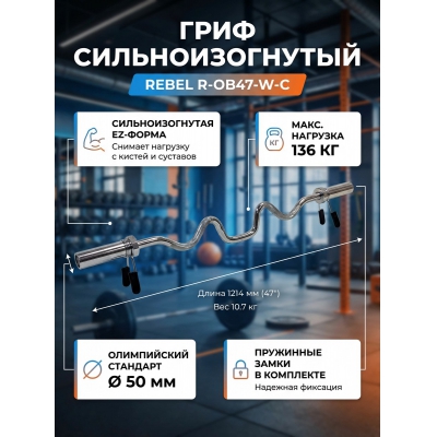 ���� ��� ������ REBEL 47" ���� � �������