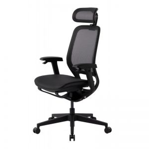   GT Chair NEOSEAT X