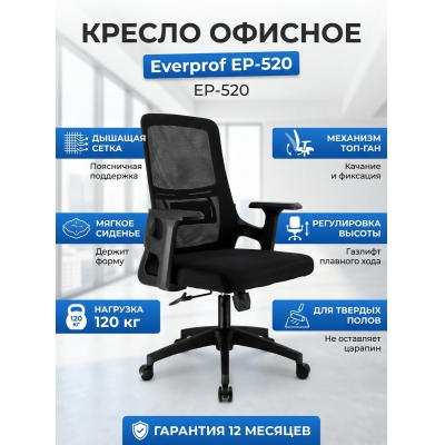 ������ ��� ��������� Everprof EP-520 �����