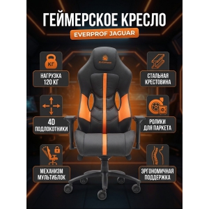 ������ ��� ������� Everprof Jaguar �������