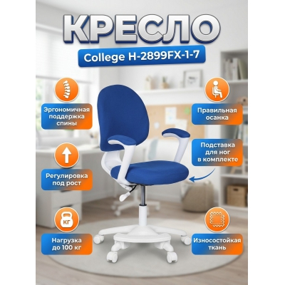 �������������� ������ ��� ��������� College H-2899FX-1-7