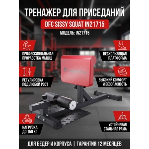 �������� ��� ����������� ����� DFC Sissy Squat IN21715