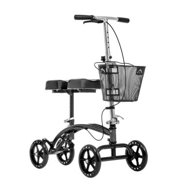 - Ortonica XS311
