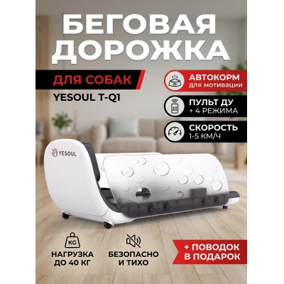 ������� ������� ��� ���� DFC Yesoul T-Q1