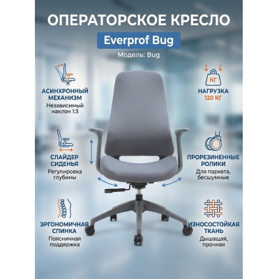 ������ ��� ��������� Everprof Bug �����