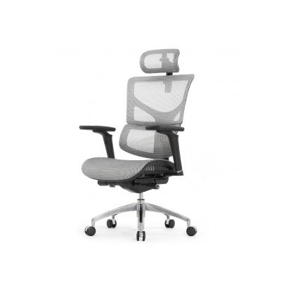   Falto Sail Art 2 ( 6D(360), ,  , )