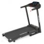   VictoryFit VF-4200