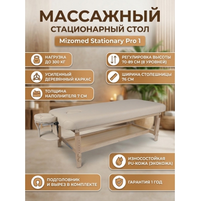 ������������ ��������� ���� Mizomed Stationary Pro 1, �������