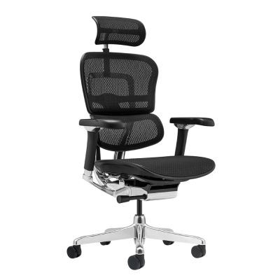 ������������ ������ Falto Ergohuman 2 Luxury ����� , ������